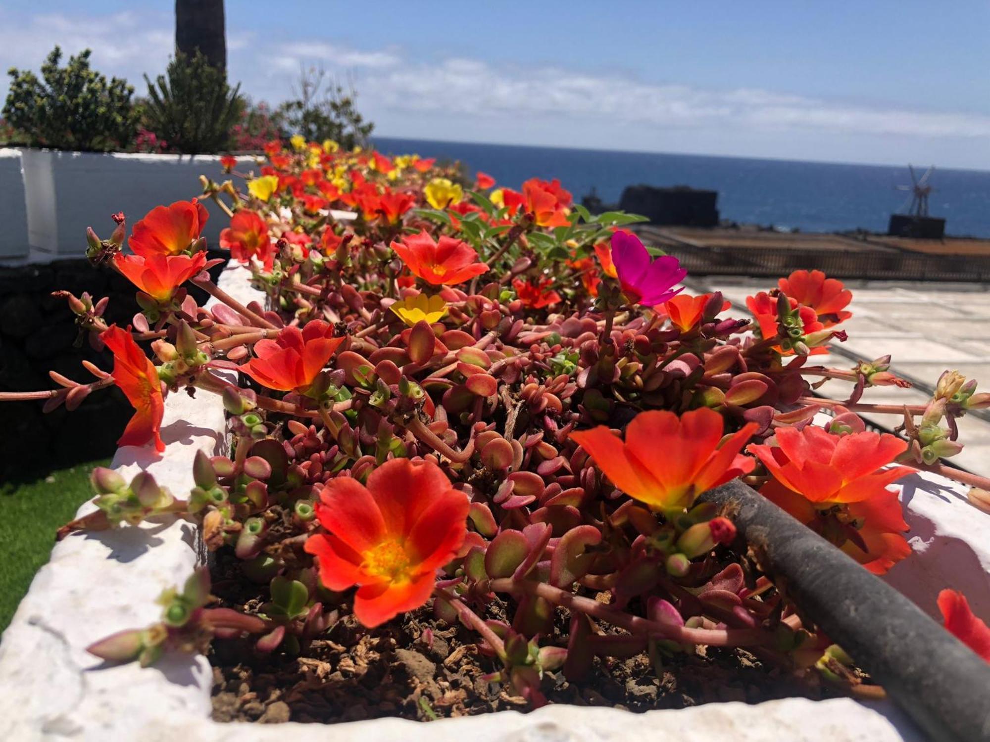 Vivienda Vacacional Sal Y Mar Playa Cancajos.- BreNa Baja  外观 照片